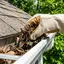 Gutter cleaning service in Raleigh, NC for clogged gutters and drainage