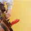 Handyman repair service in Raleigh, NC for home fixes and improvements